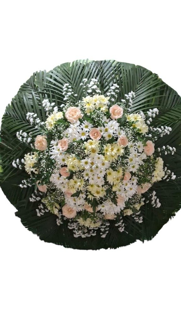 Coroa Ternura